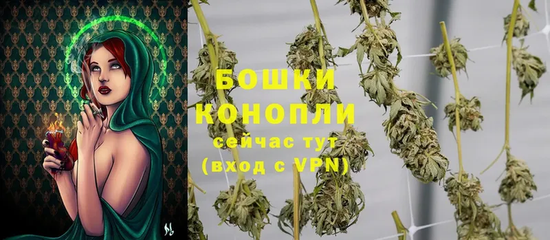 МАРИХУАНА THC 21%  купить  сайты  Кинель 